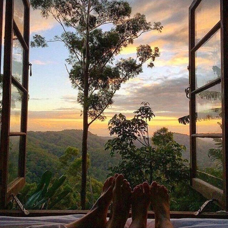 Вілла The Den Of The Treehouse, Kinabalu Farm The Pocket Екстер'єр фото